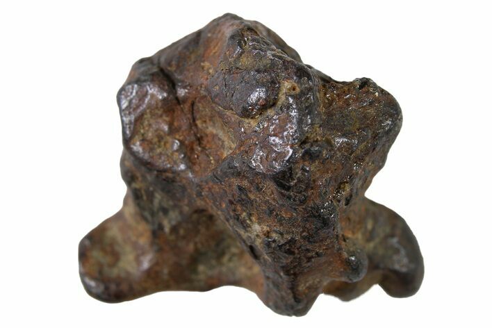 Sericho Pallasite Meteorite ( g) Metal Skeleton #267129